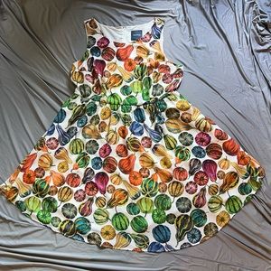 Modcloth 2x rainbow gourd dress
